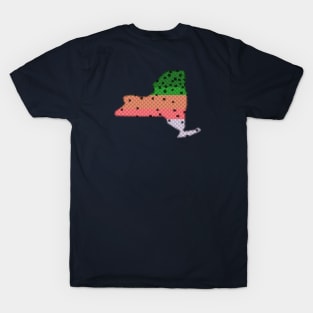 Trout Fishing Rainbow Trout Pattern New York State Map T-Shirt